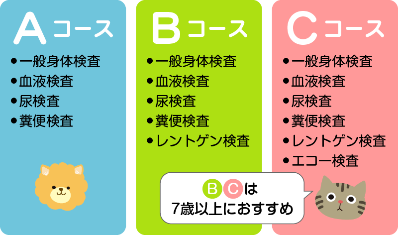 ペットドックのコース