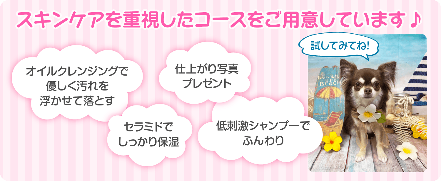 トリミング スキンケア