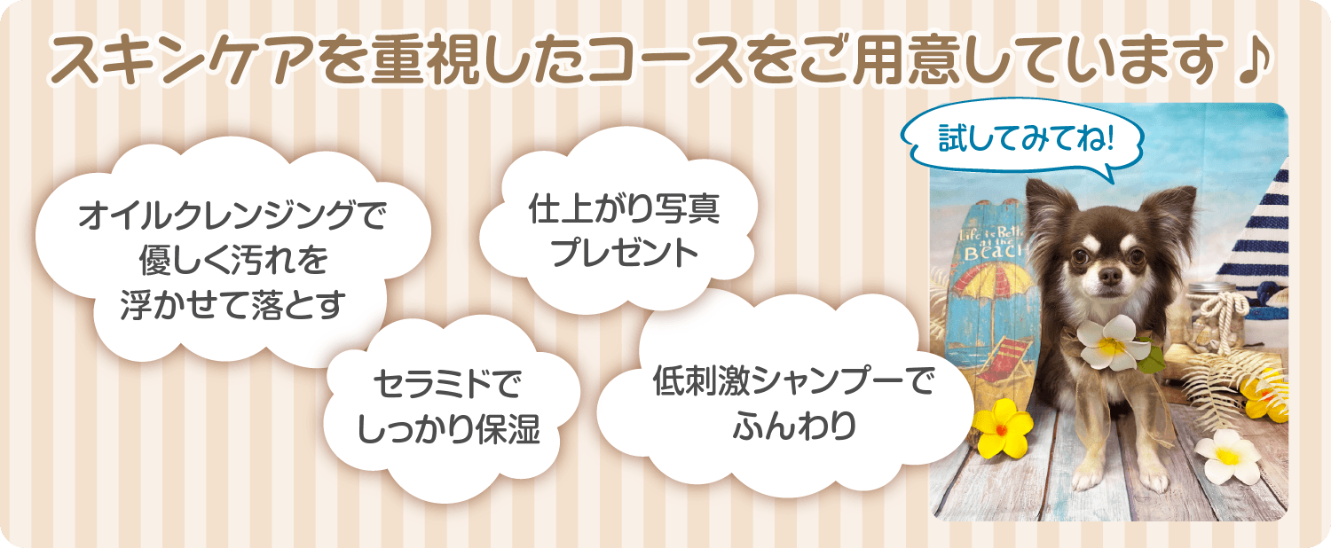 トリミング スキンケア